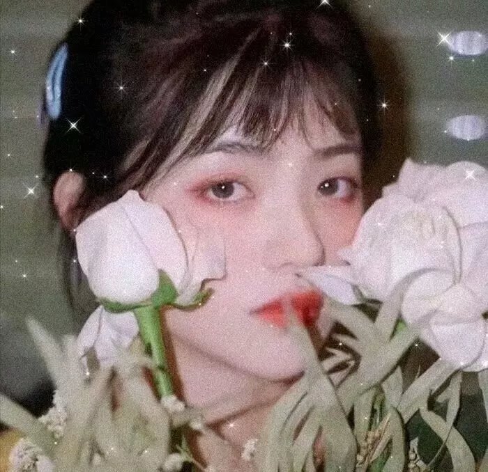 家庭治愈